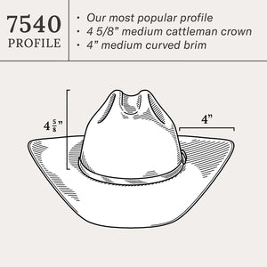Stetson Men's 10X Shasta Premier Cowboy Hat, Mist Grey