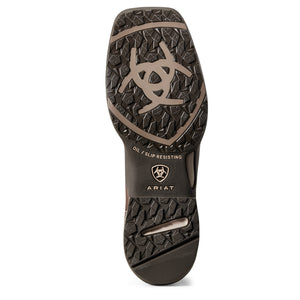 Ariat Women's Anthem II, French Roast/ Sweet Cream