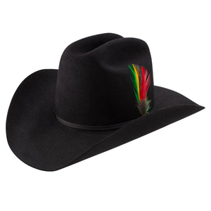 Stetson Men's 6X Classic Rancher Cowboy Hat, Black